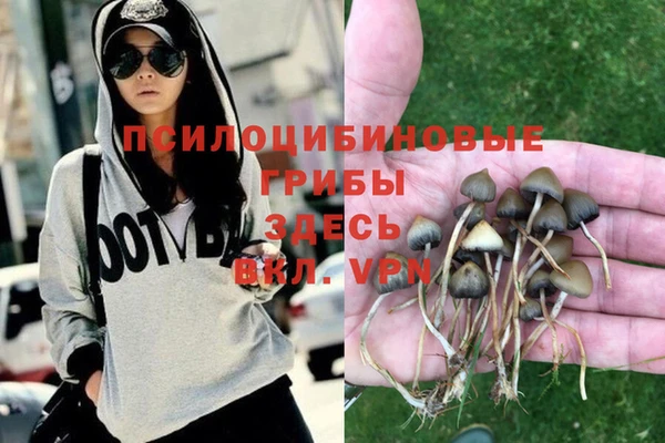 эйфоретик Алзамай