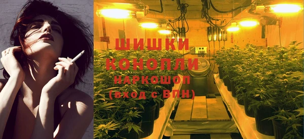 метадон Алексин