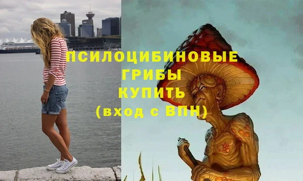 метадон Алексин