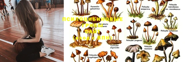 эйфоретик Алзамай