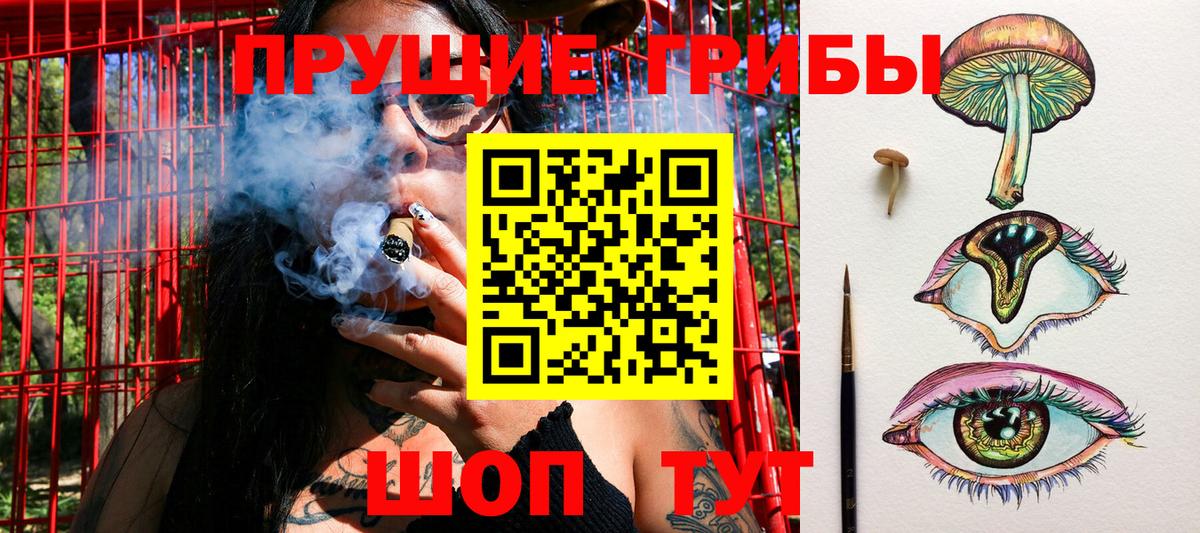 Псилоцибиновые грибы прущие грибы Павловский Посад