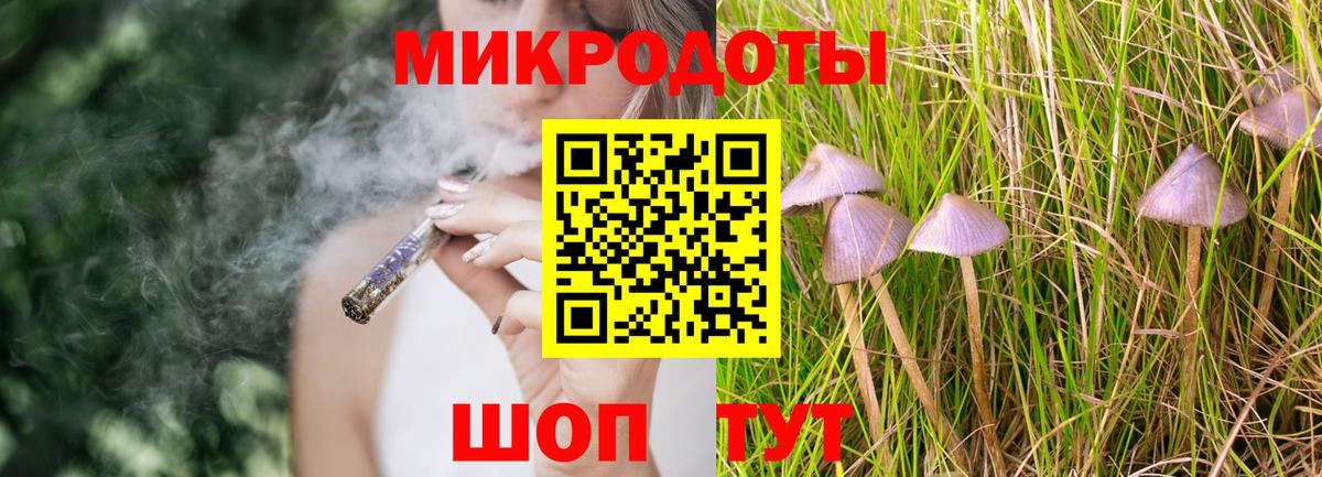 Павловский Посад  Галлюциногенные грибы Cubensis  Вход с VPN 