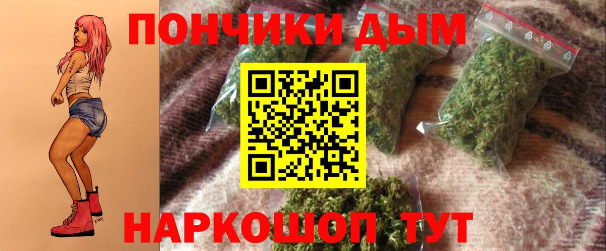 Бошки марихуана планчик  Вход с VPN  Конопля сатива  Марихуана марихуана  Канабис OG Kush  Павловский Посад 
